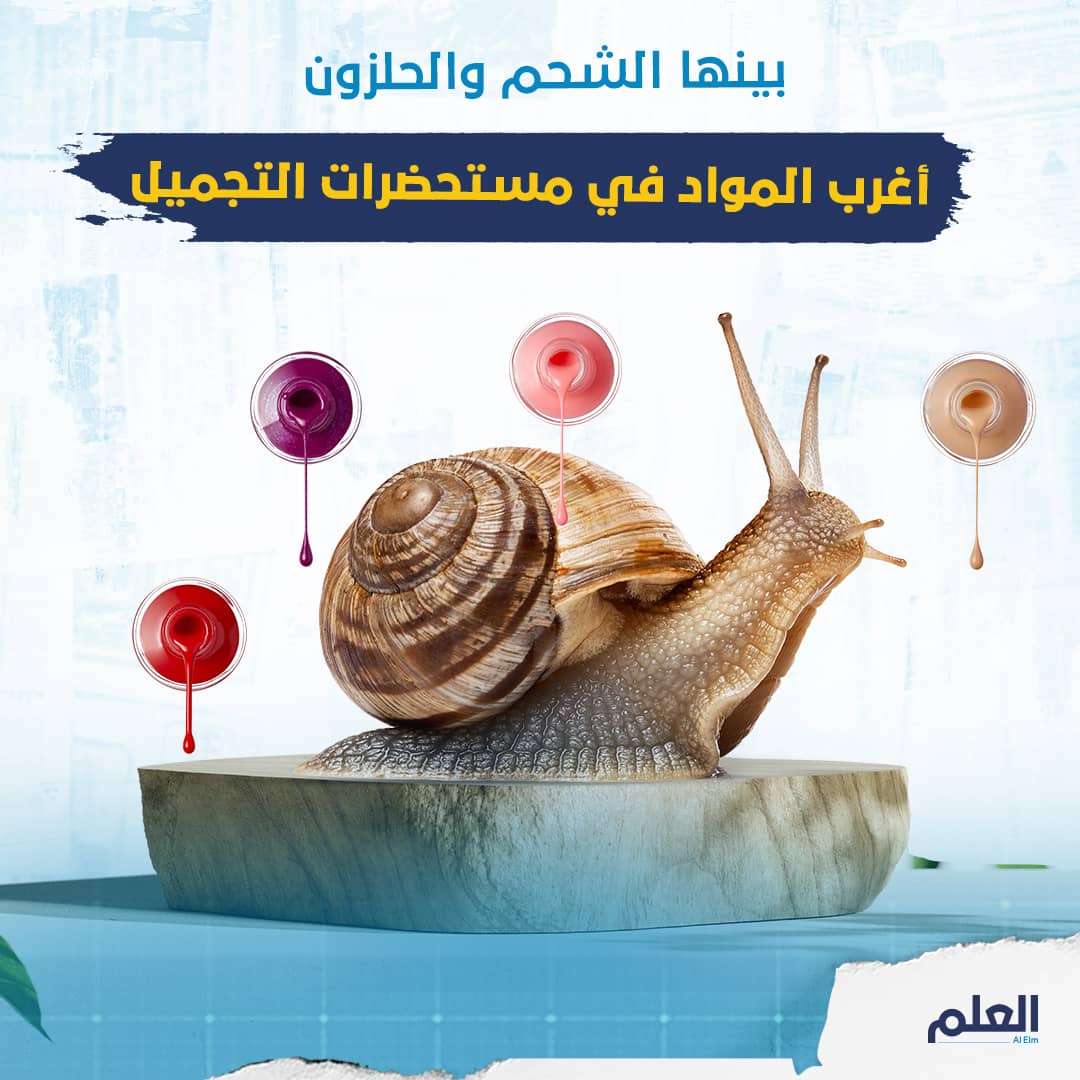 بينها الشحم والحلزون.. أغرب المواد في مستحضرات التجميل