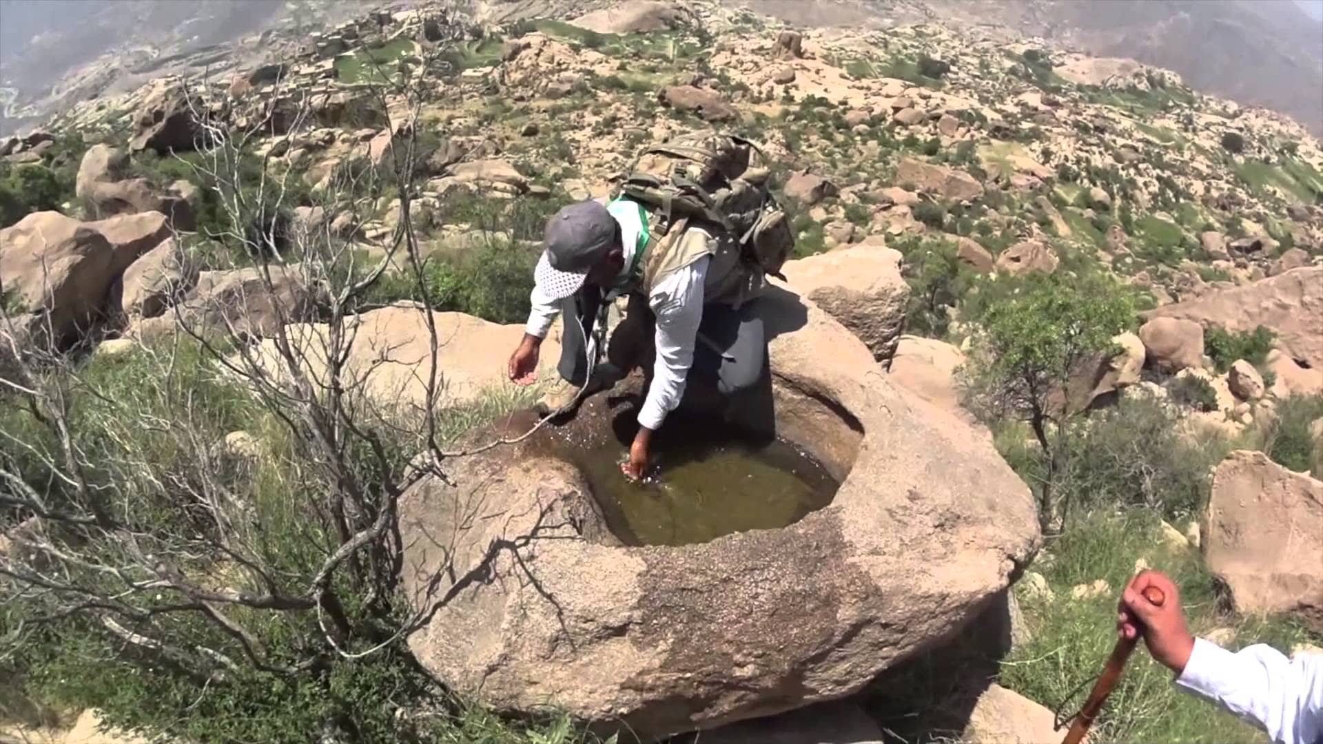 ثراء الحياة الفطرية في محمية جبل شدا