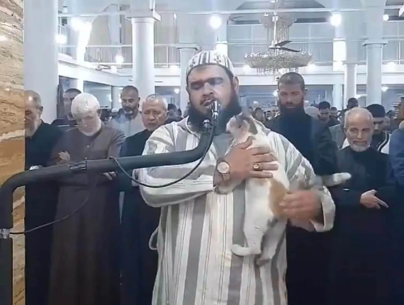 فيديو| توضيح وتحذير.. أول تعليق للإمام الجزائري على واقعة القطة