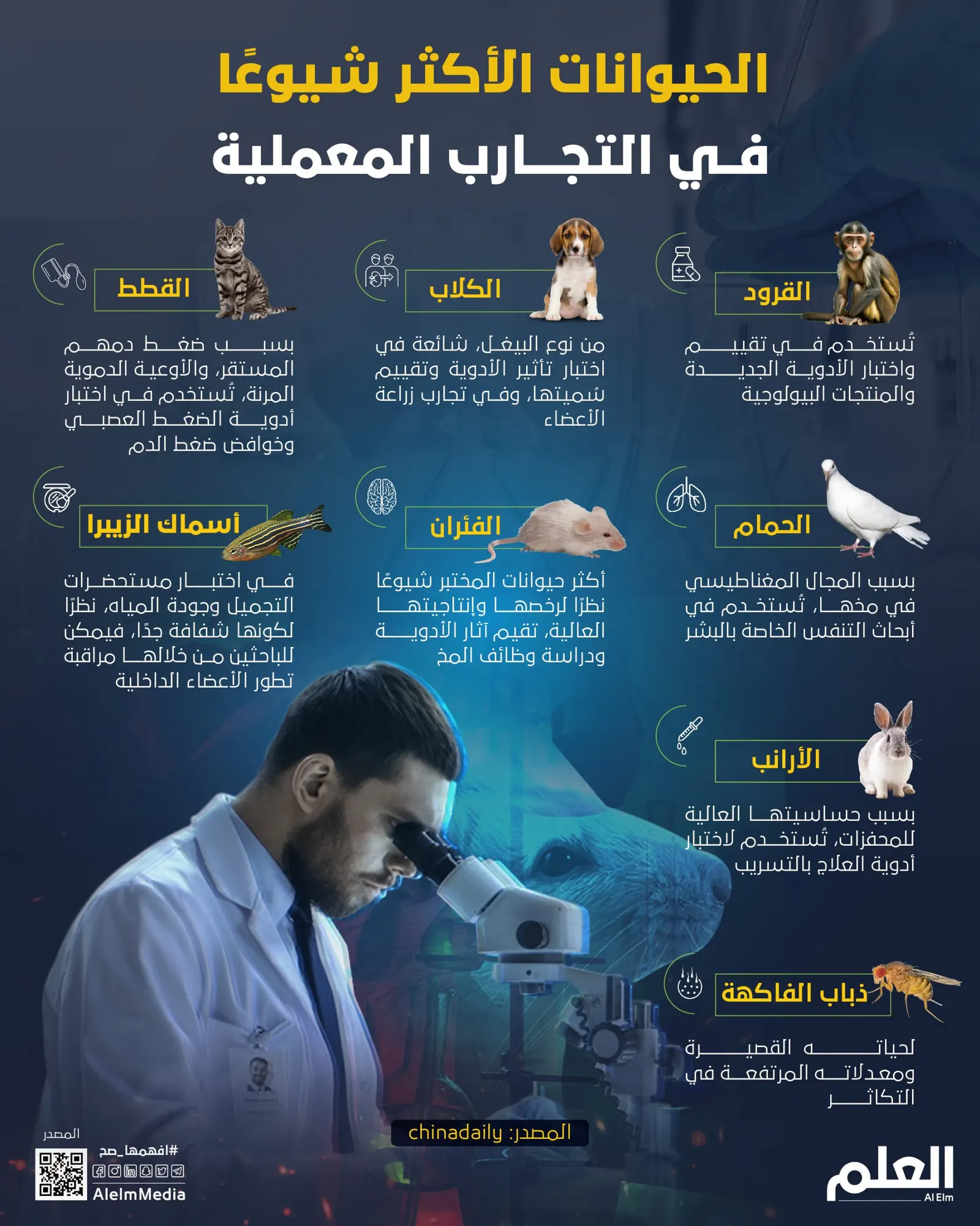 الفئران ليست الوحيدة.. الحيوانات الأكثر شيوعًا في التجارب المعملية