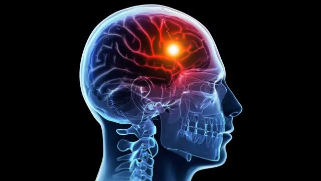 مع التقدم في العمر.. خلايا مناعية تدخل الدماغ وتعيد تشكيل خلاياه