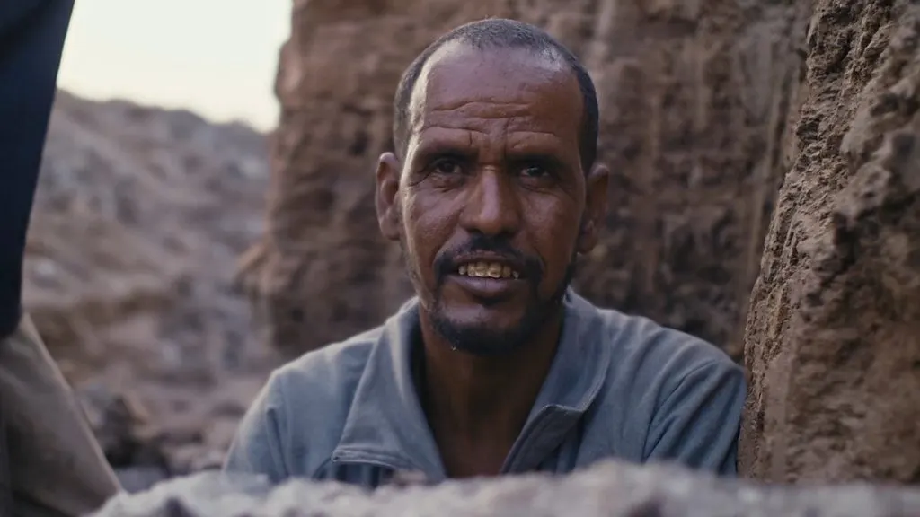 التصحر يأكل منازلهم.. لماذا يُطعم الموريتانيون مواشيهم الورق المقوى؟