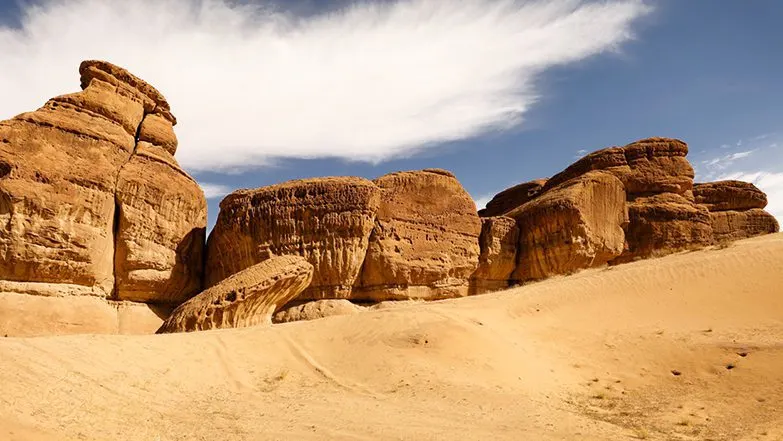 صور.. قصة تشكيل صخري يشبه السمك في صحراء العلا خطف القلوب