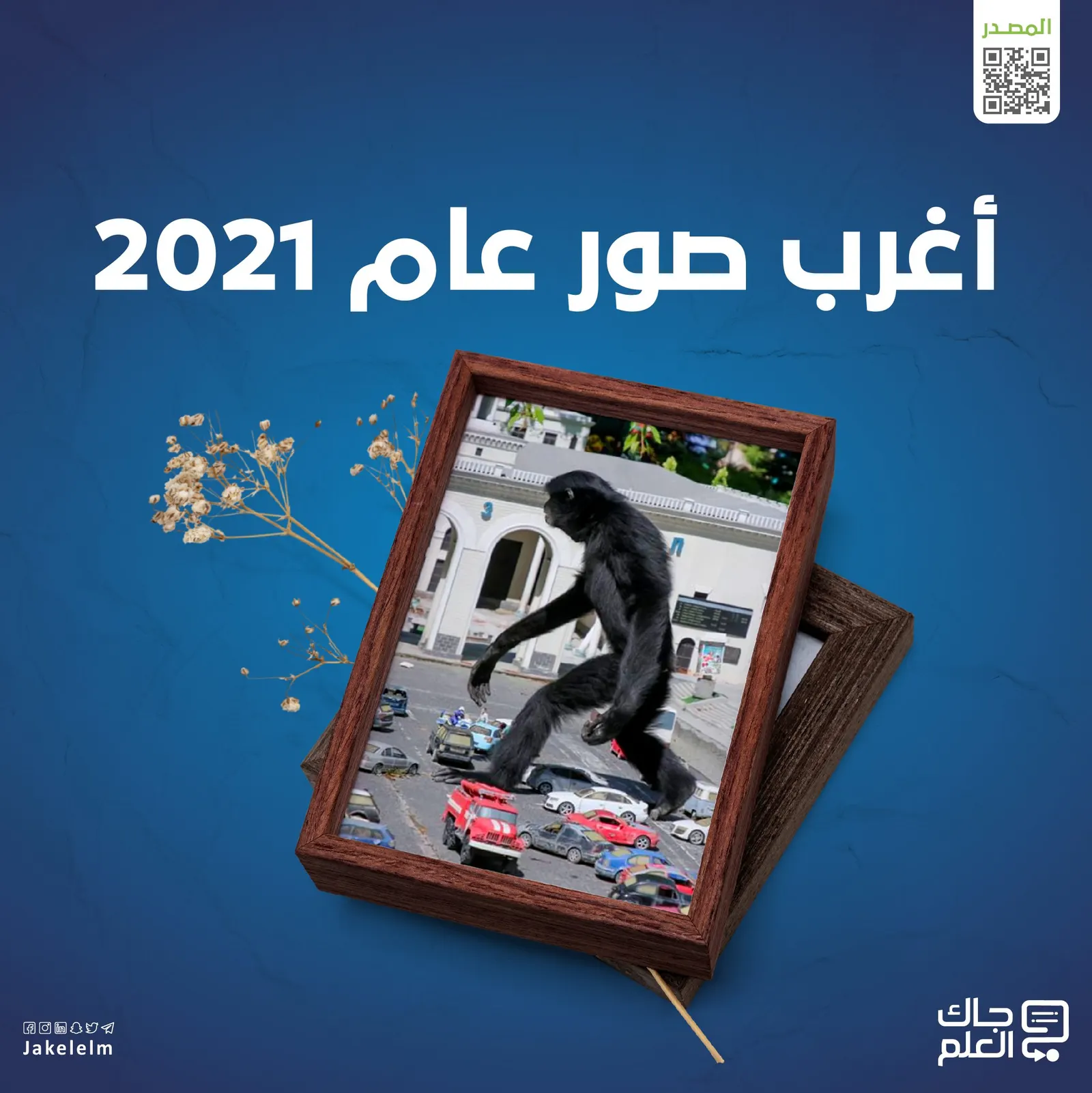 أغرب صور رويترز لعام 2021