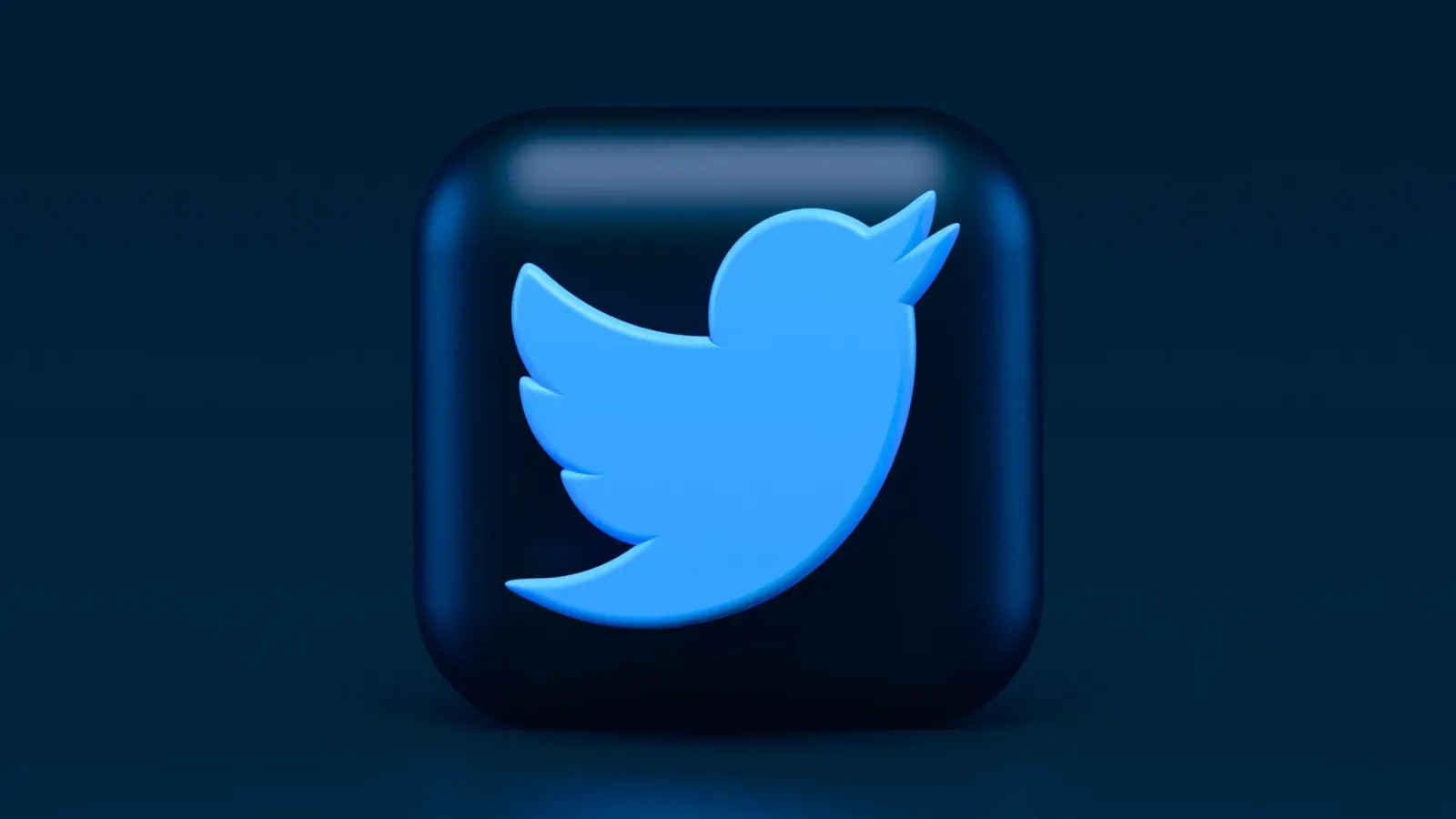 إيلون ماسك يفرض رسومًا قدرها 20 دولارًا شهريًا على مستخدمي Twitter Blue