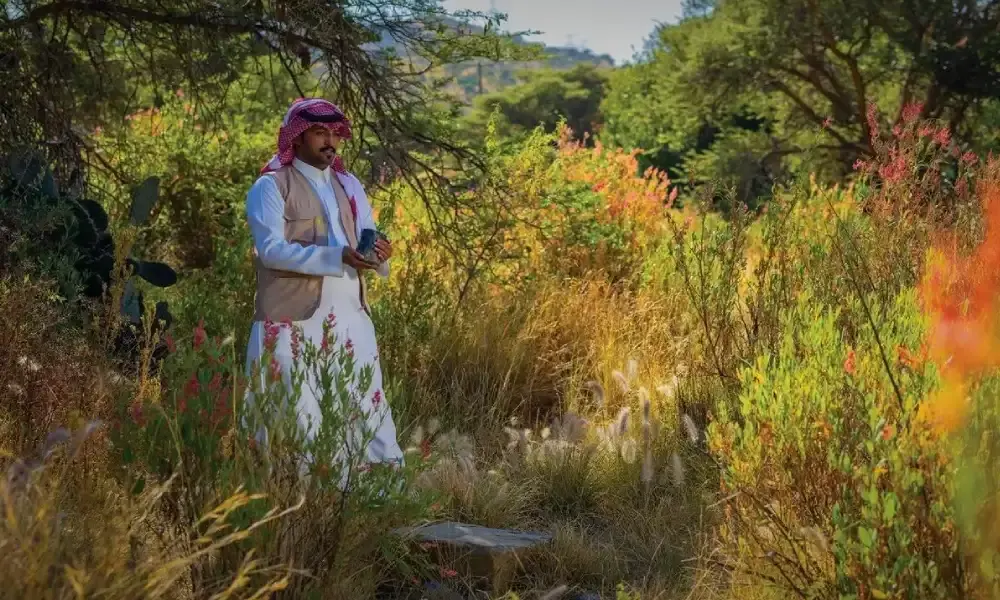 3 أهداف طموحة يحييها يوم السعودية الخضراء سنويًا