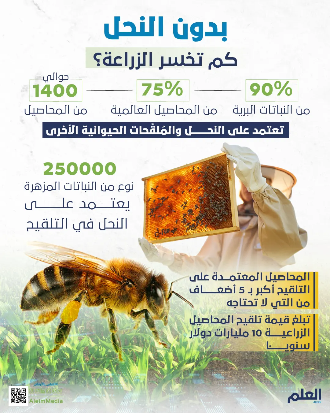 بدون النحل.. كم تخسر الزراعة من المحاصيل والنباتات؟ أكثر من مجرد مليارات!