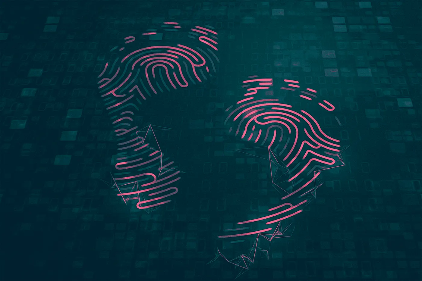 البصمة الرقمية.. أنواعها وكيف تحمي خصوصيتك
