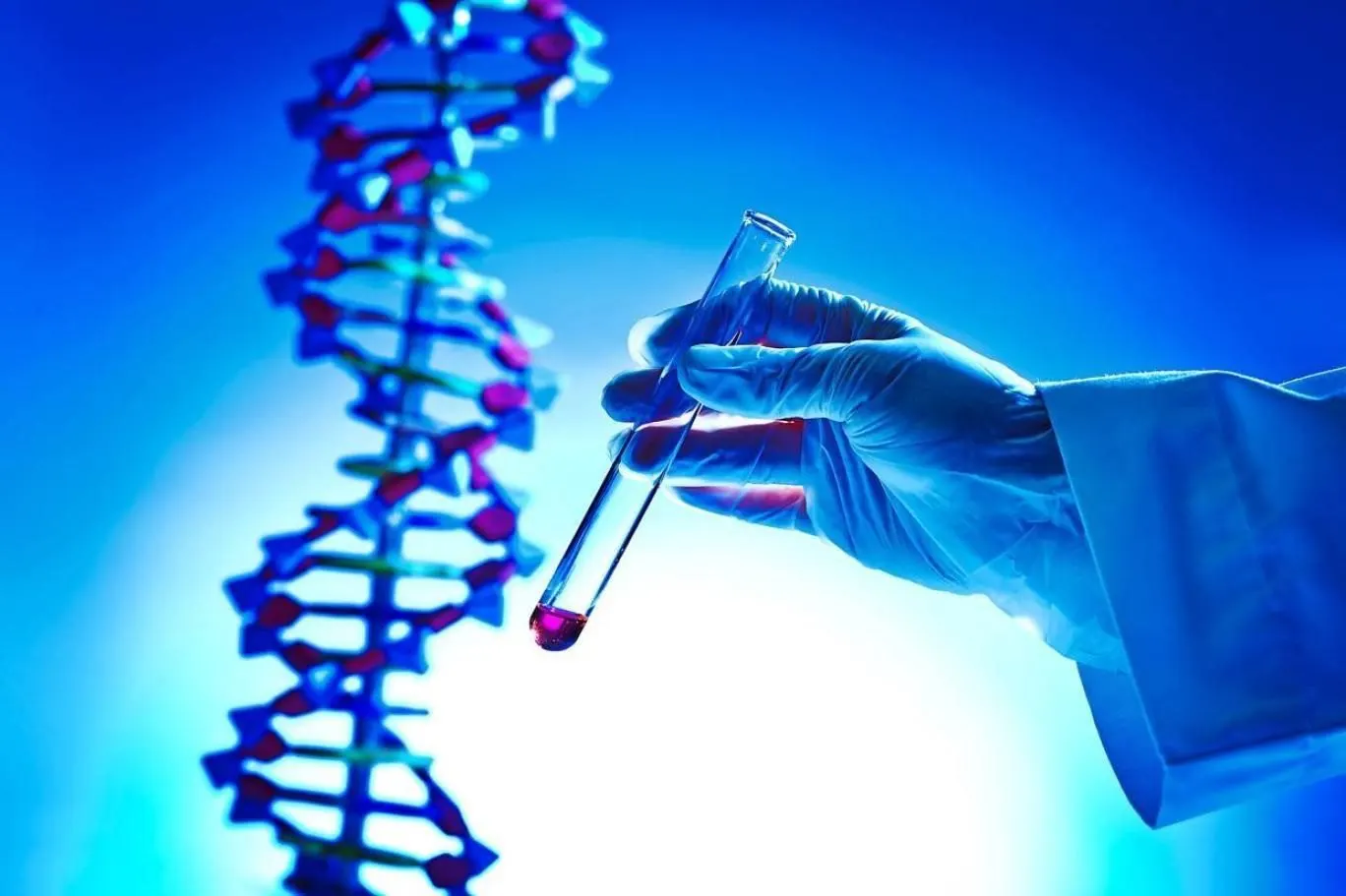 بعد تحديد هوية هتان شطا بالحمض النووي.. ما هو تحليل DNA؟ وما هي استخداماته؟