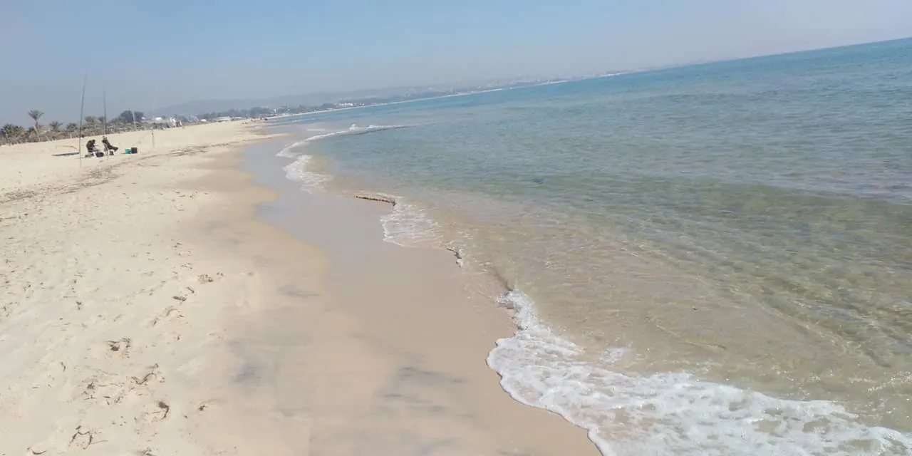 انحسار مياه السواحل.. هل له علاقة بزلزال تركيا وسوريا؟