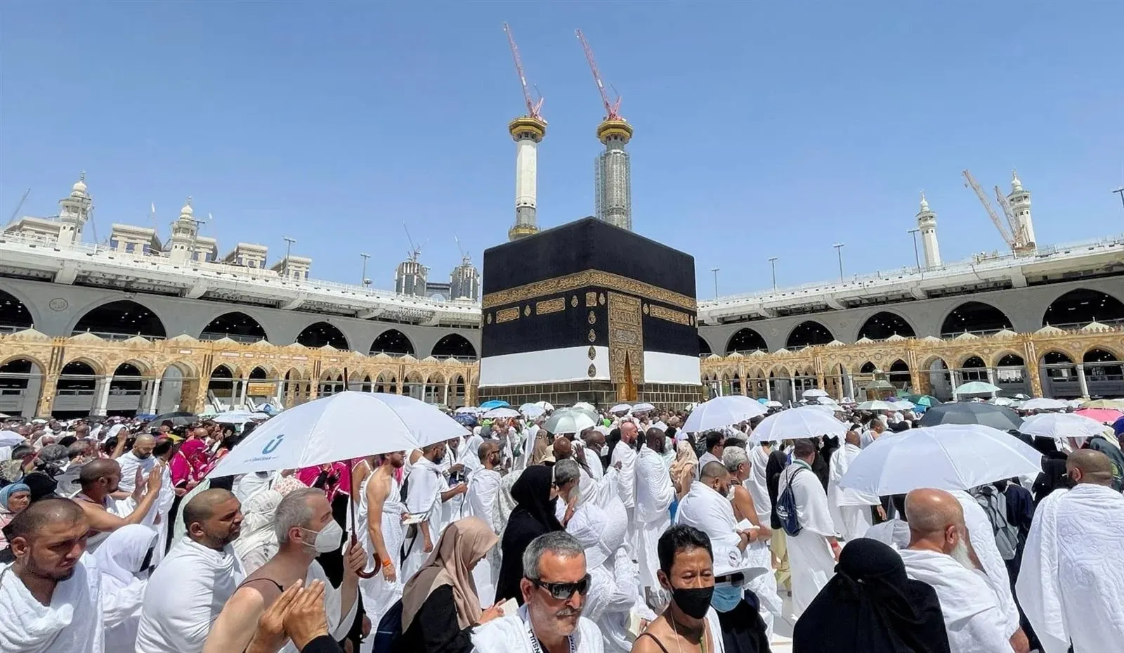 "الحج والعمرة" توضح موعد بدء إصدار تصاريح حجاج الداخل.. وهذه هي الشروط