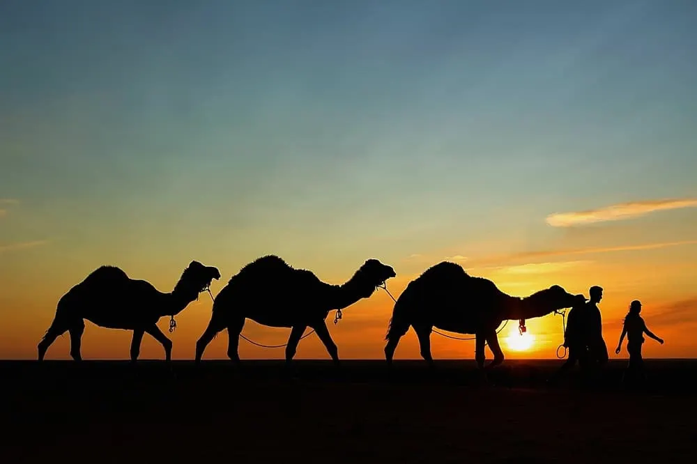 ما أهمية الجزيرة العربية لطرق تجارة العالم القديم؟