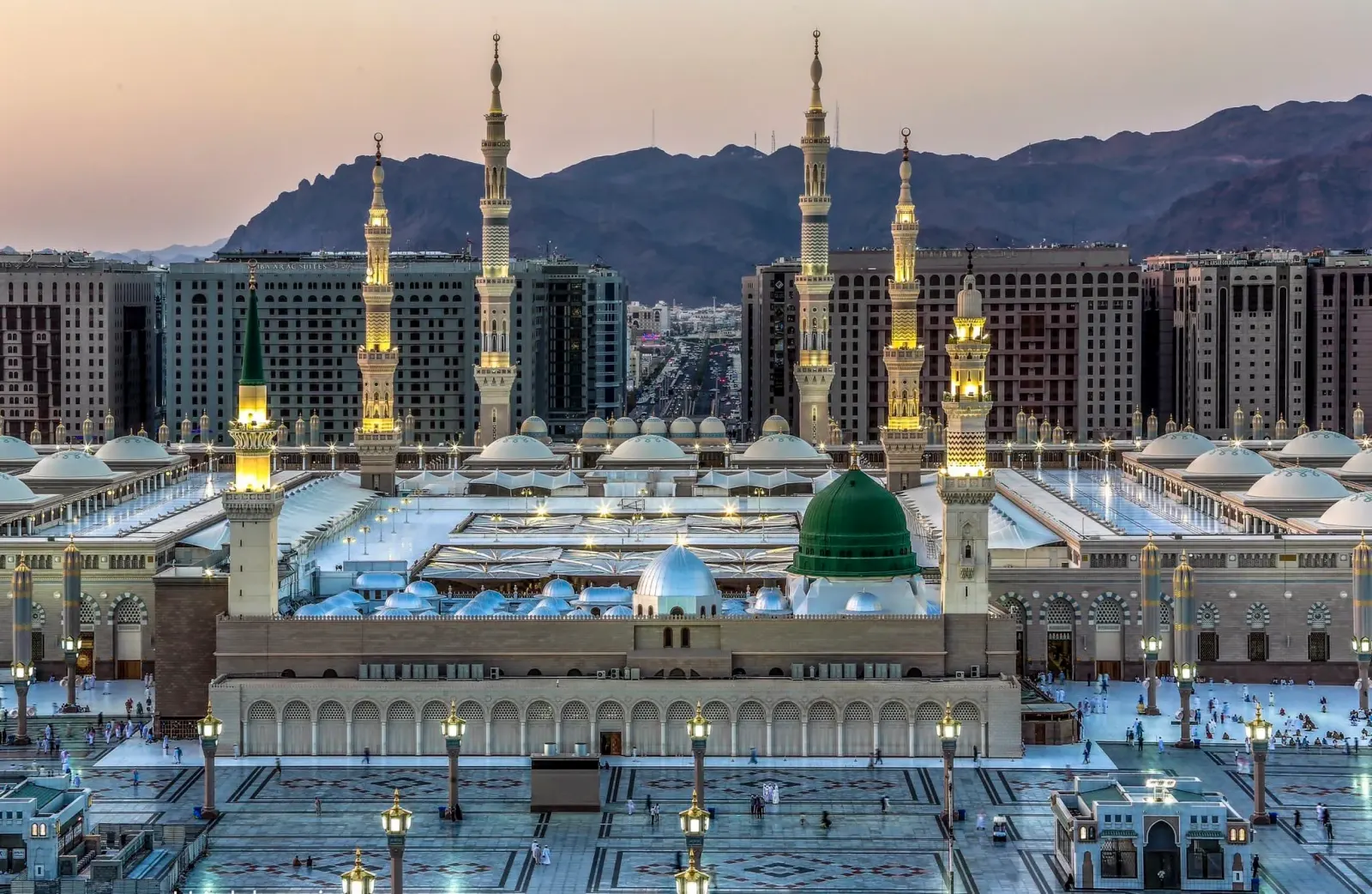"حافلات المدينة المنورة".. جاهزية كاملة