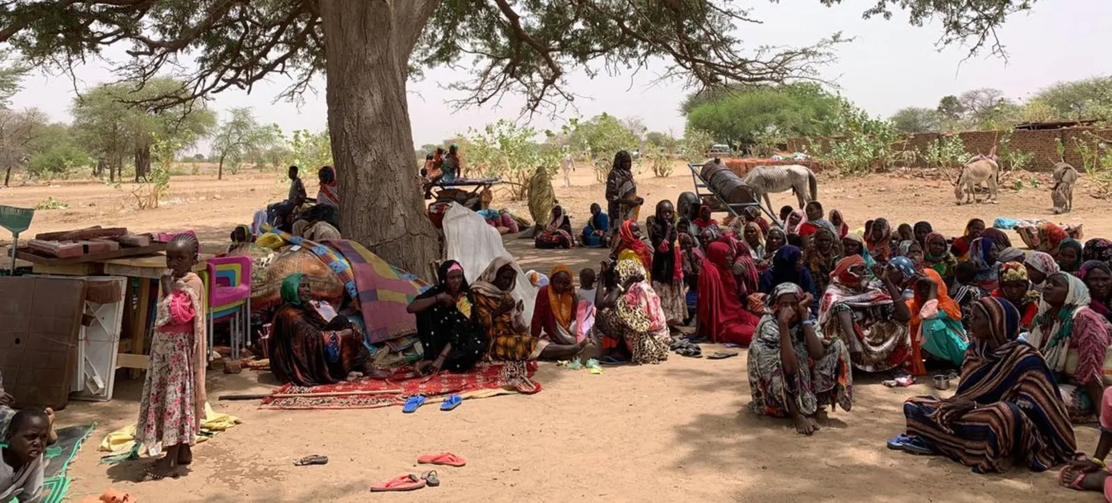 عام من الصراع.. السودان يعاني آلامًا متزايدة