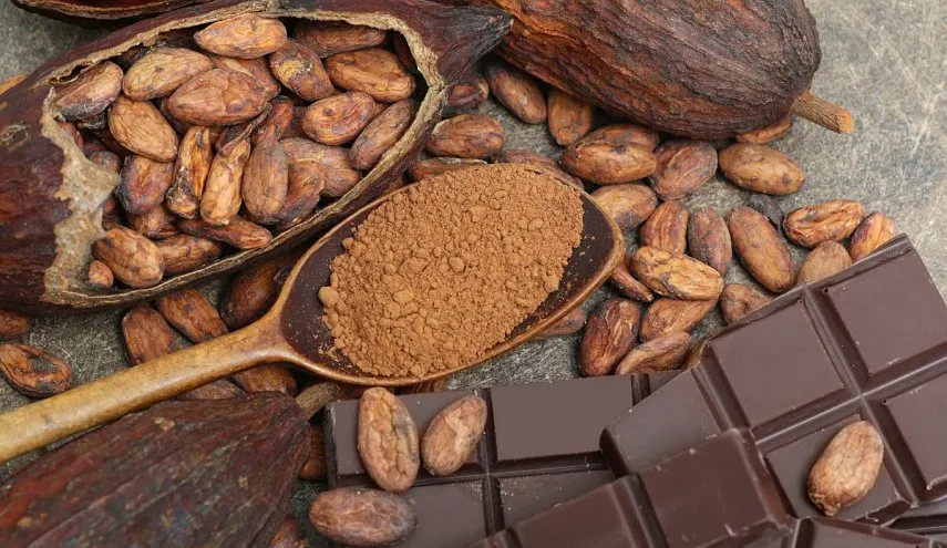 كيف ستستخدم دولة أفريقية الكاكاو لتوليد الكهرباء؟
