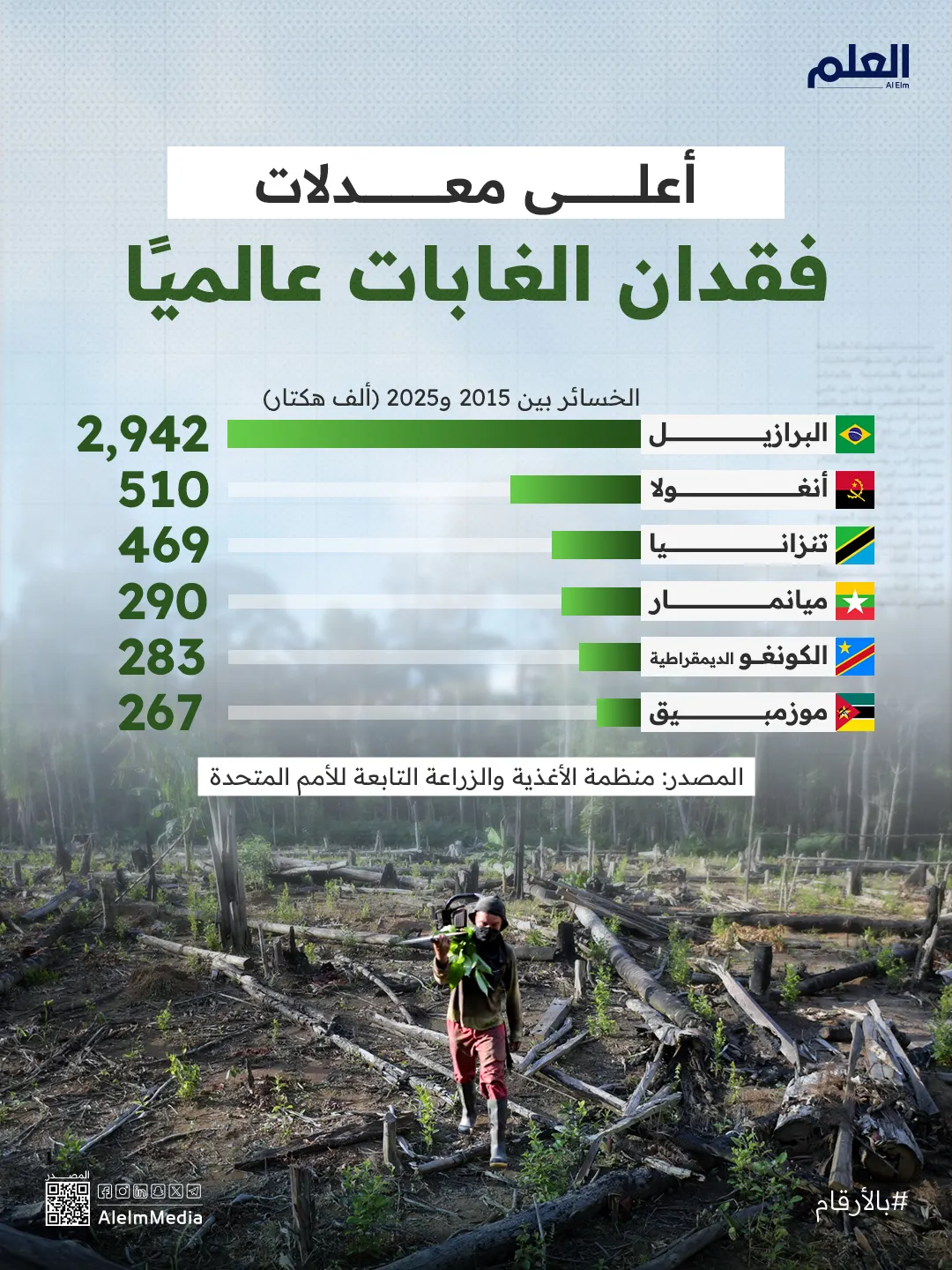 إنفوجرافيك| أعلى معدلات فقدان الغابات عالميًا