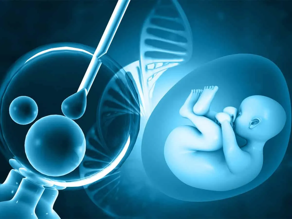 ماذا يحدث للأجنة بعد فشل الحقن المجهري؟