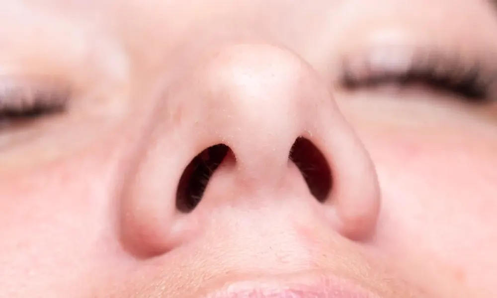 لماذا تهيمن فتحة أنف واحدة على التنفس أكثر من الأخرى؟
