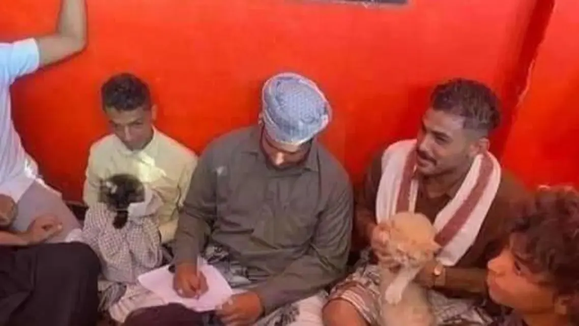 بمأذون ومدعوين.. يمنيون يعقدون قران قط وقطة