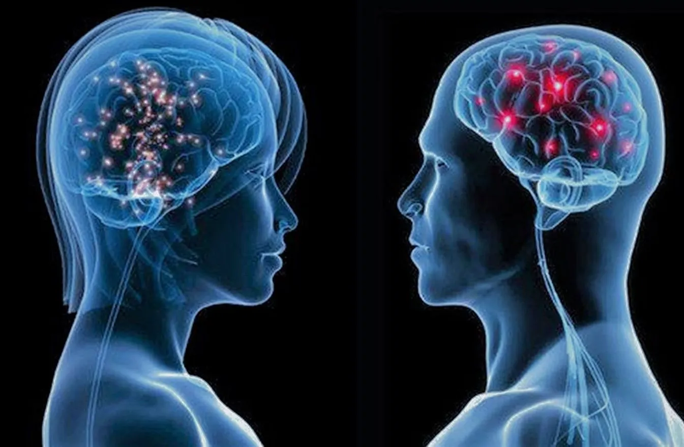 دراسة حديثة تكشف أسباب اختلاف دماغ الرجل عن المرأة