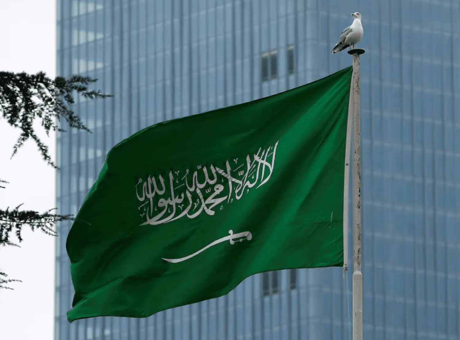 إنجاز سعودي جديد.. 6 جوائز دولية يحققها المنتخب السعودي للرياضيات