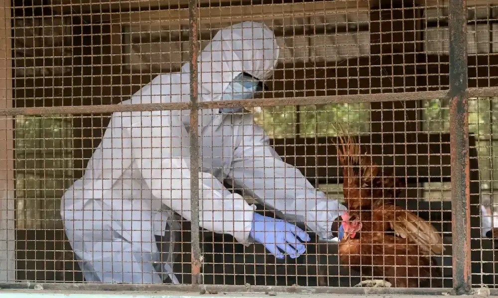 تسجيل أول إصابة بشرية بفيروس H5N5 عالميًا.. ماذا نعرف عنه؟