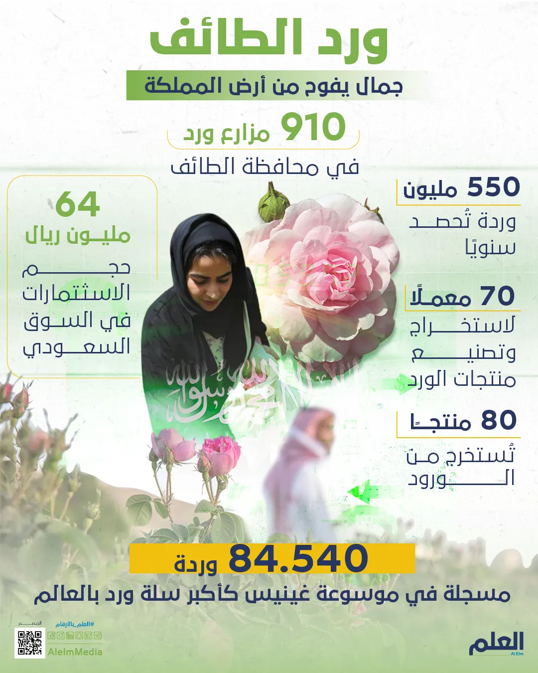 أرقام حول ورد الطائف.. جمال يفوح من أرض المملكة