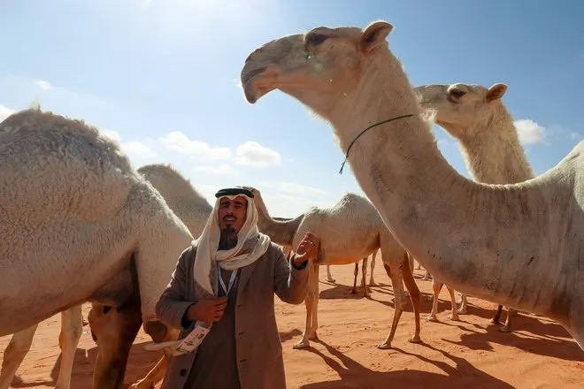 السعودية و"اليونسكو".. 5 عناصر تدخل قائمة التراث الثقافي غير المادي في 3 سنوات