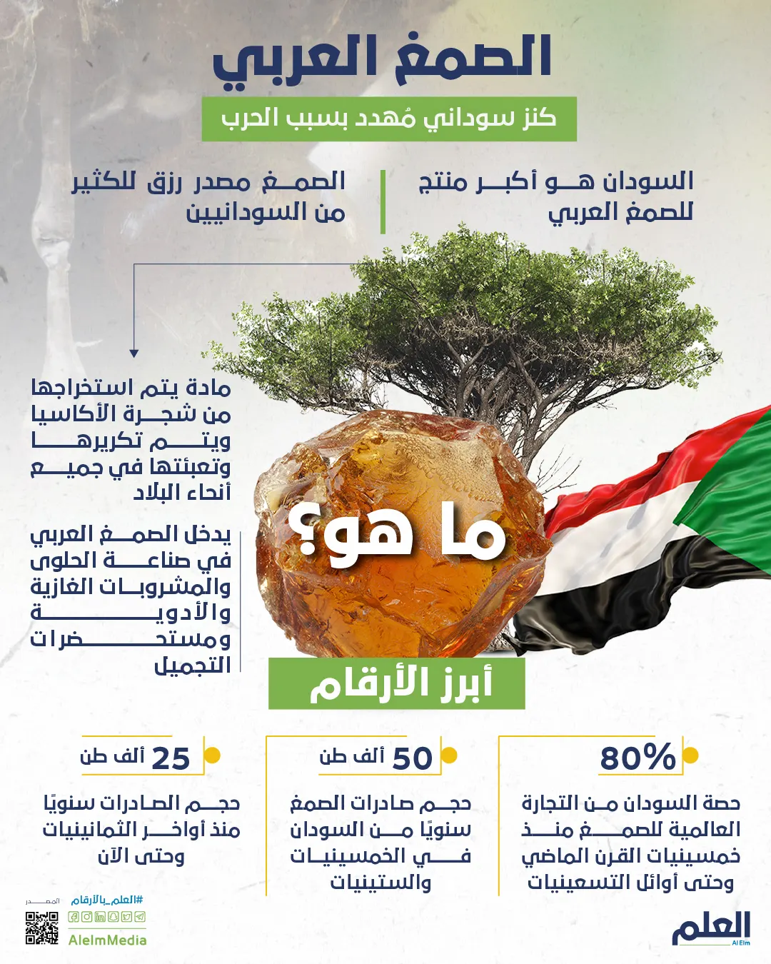 الصمغ العربي.. كنز سوداني مُهدد بالحرب