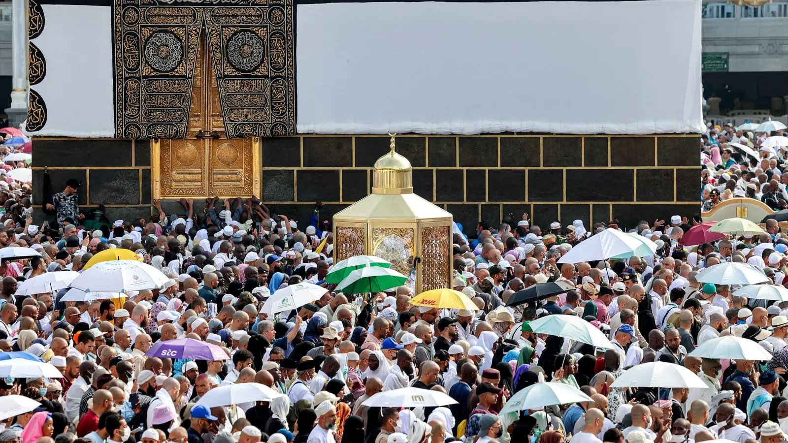 خدمات بالملايين قدمتها "الحج والعمرة" لضيوف الرحمن في موسم 1445هـ