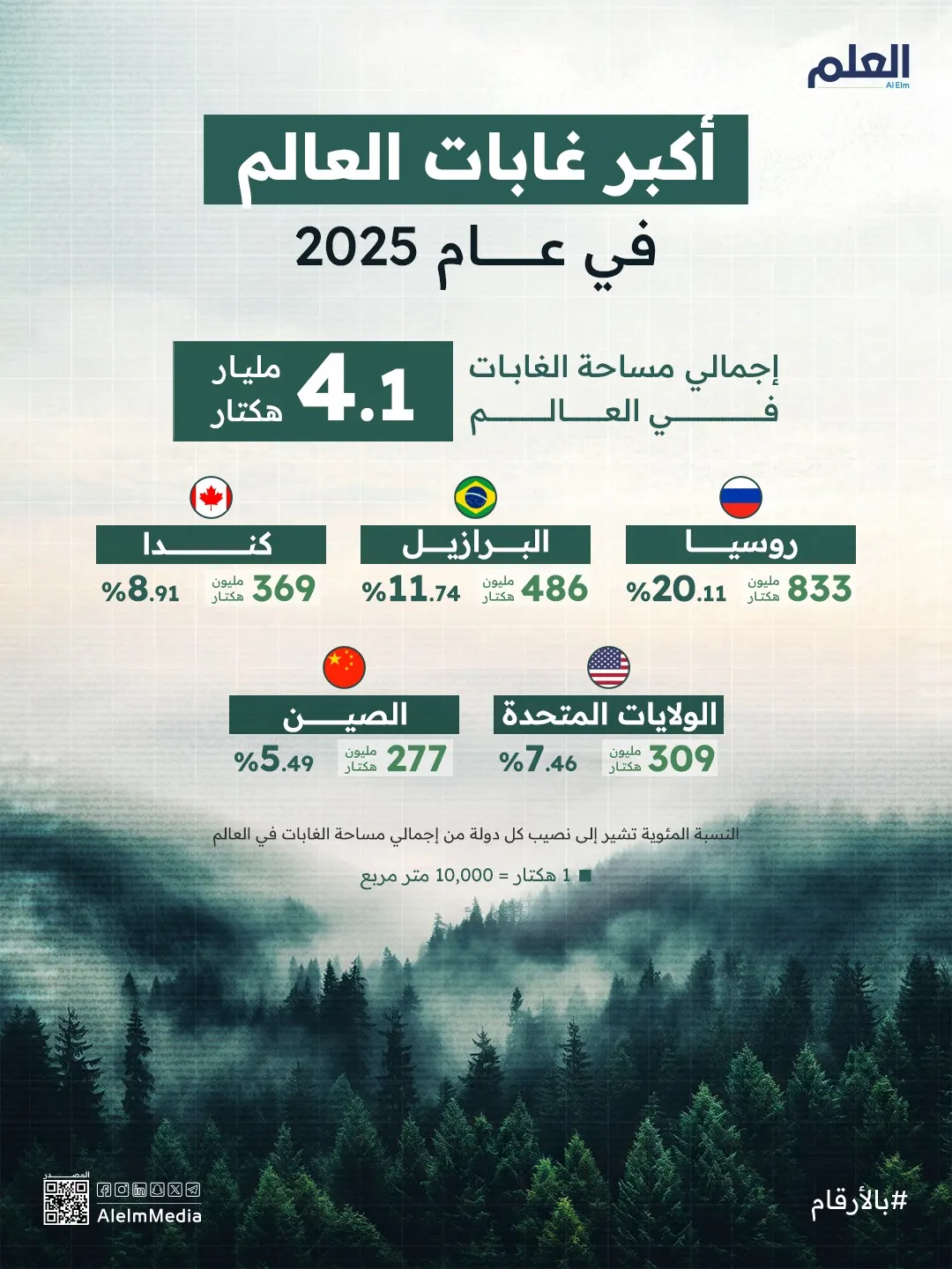 إنفوجرافيك| الدول ذات أكبر الغابات في عام 2025