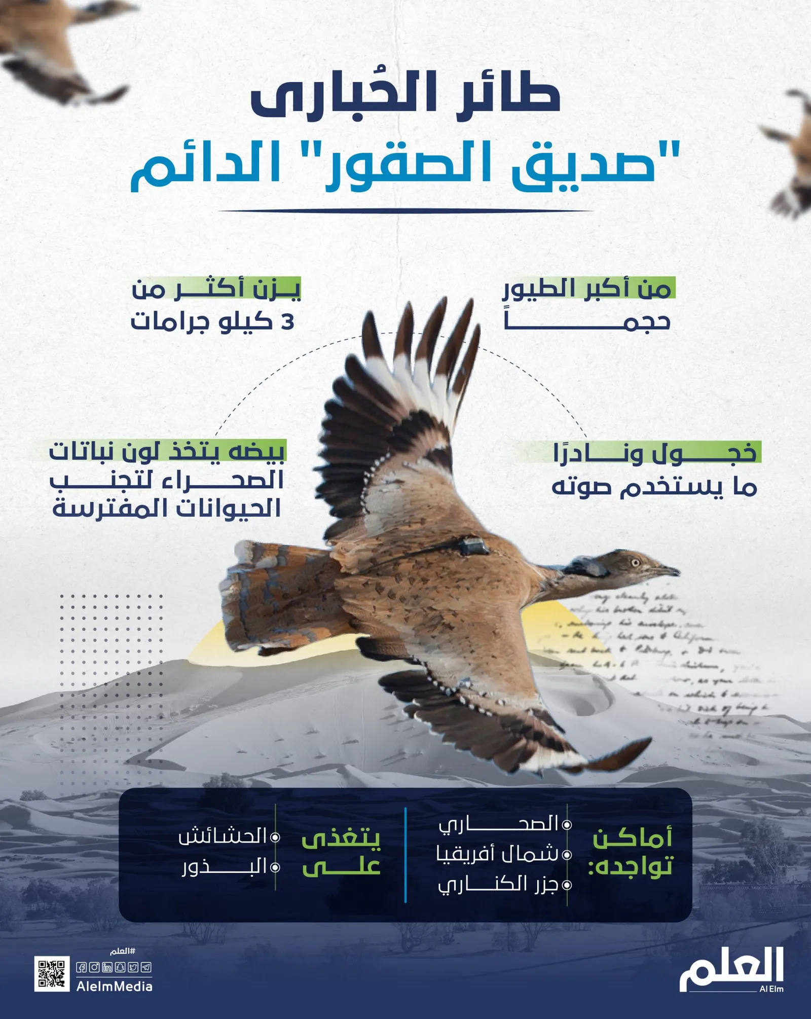 طائر الحُبارى "صديق الصقور" الدائم