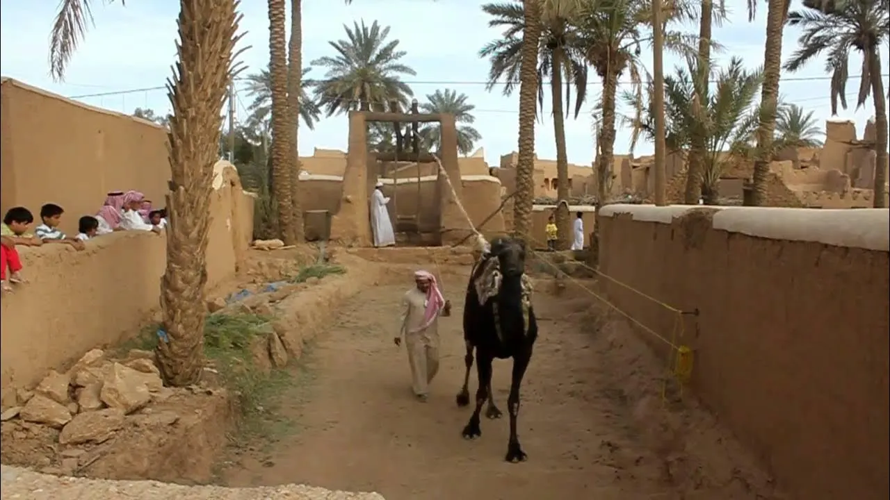 السواني.. مهنة ارتبطت بتاريخ وثقافة مجتمعنا