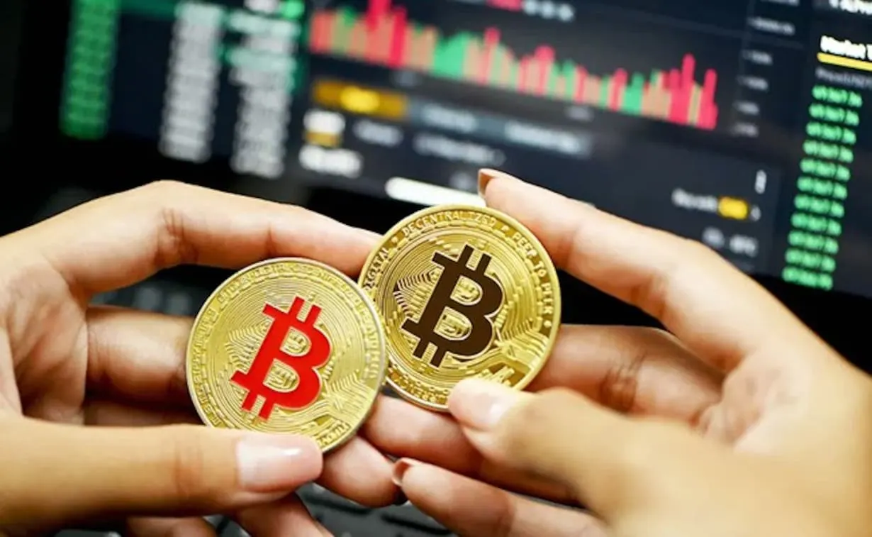 العملات المشفرة تكسر القيود وتحقق مكاسب خلال 2021