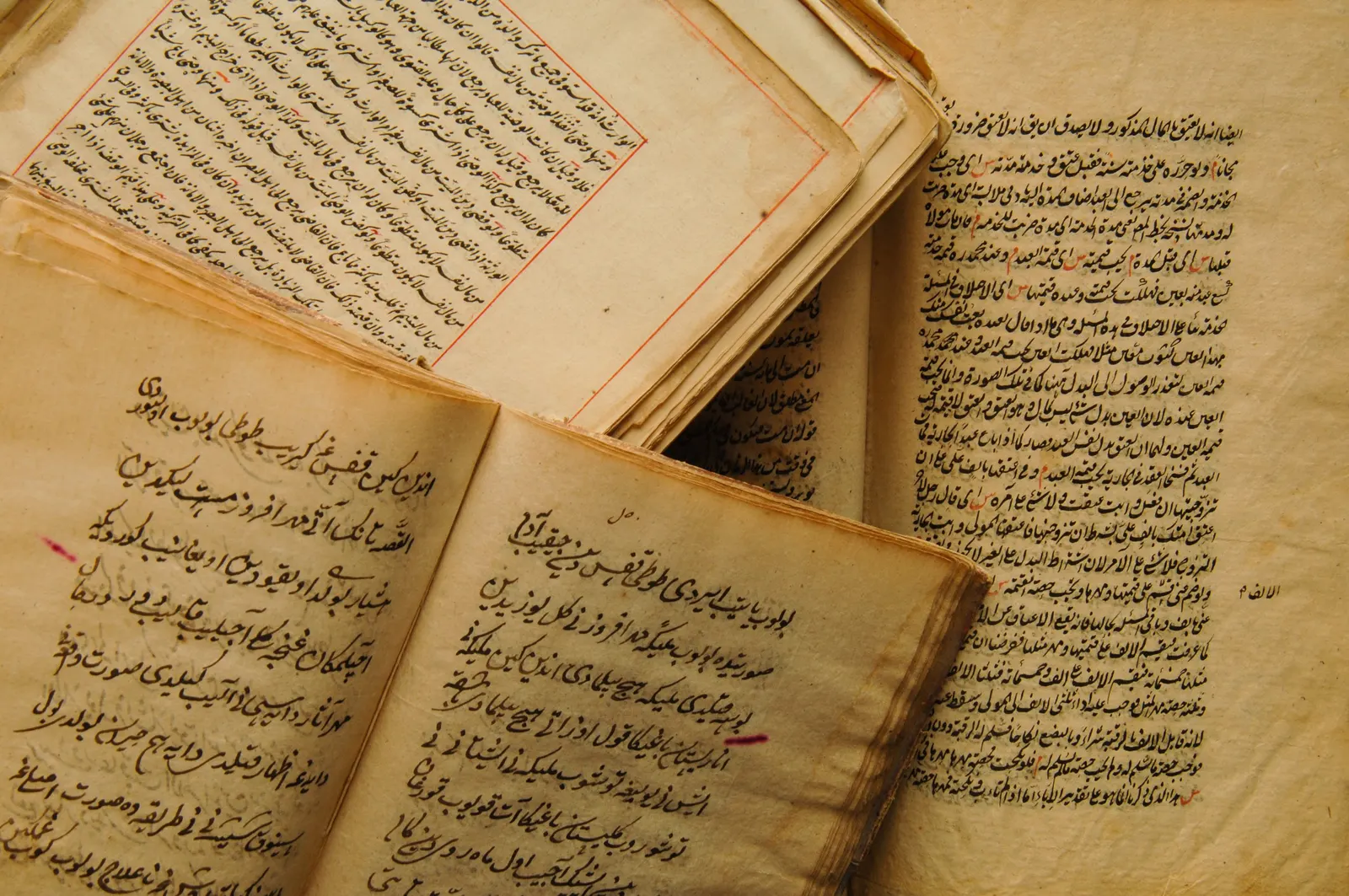 في اليوم العالمي للغة العربية.. معلومات مدهشة عنها