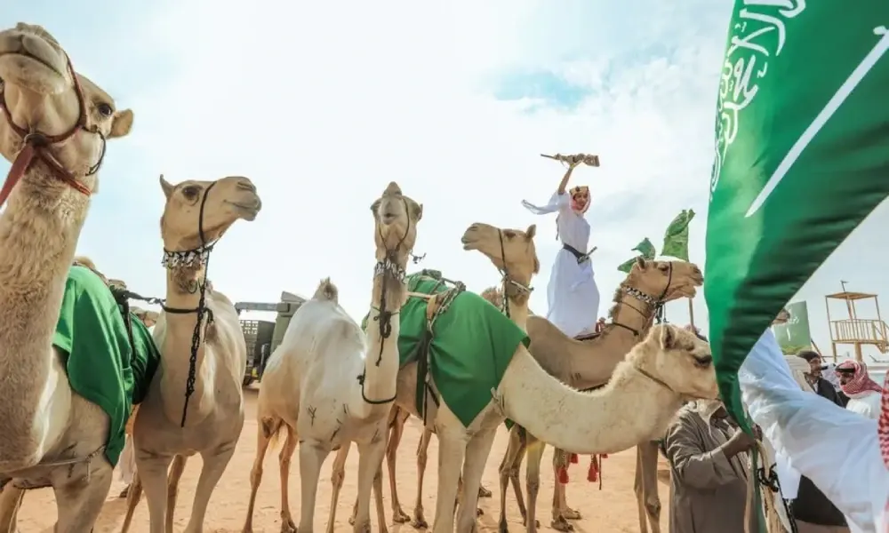 بجوائز تتجاوز 50 مليون ريال.. مهرجان ولي العهد للهجن ينطلق في سبتمبر