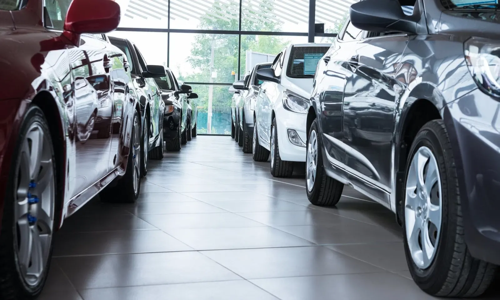 ماركات السيارات ذات العملاء الأكثر ولاءً في 2024
