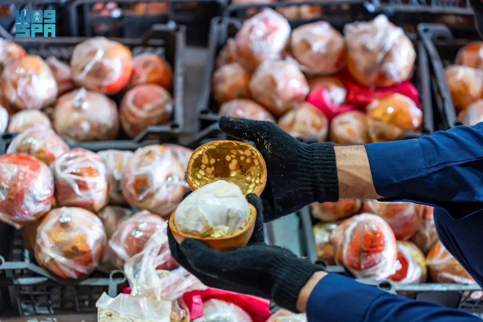 بالصور.. أغرب محاولات التهريب الفاشلة