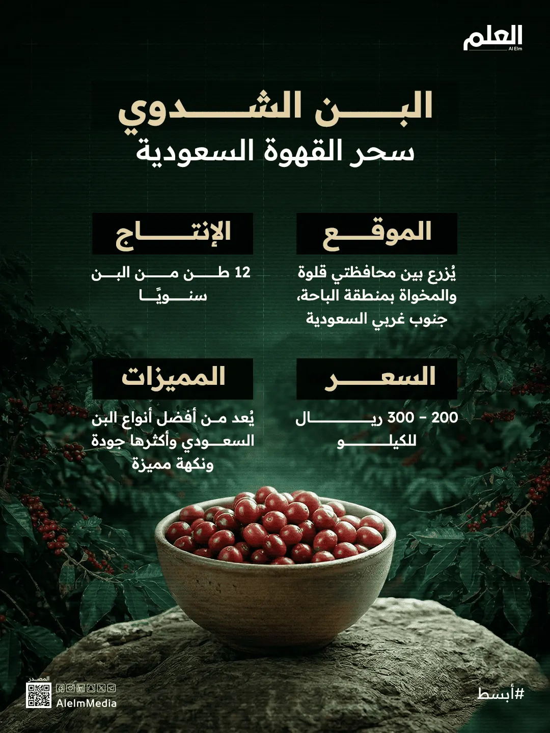 إنفوجرافيك| البن الشدوي.. أيقونة القهوة السعودية بين الجبال