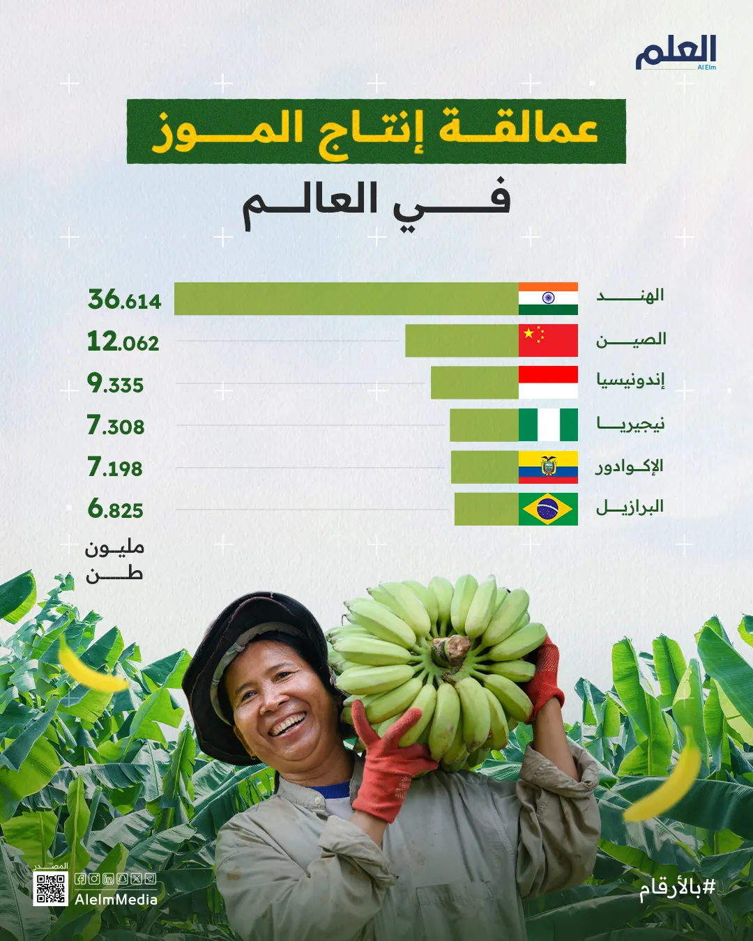 إنفوجرافيك| عمالقة إنتاج الموز في العالم