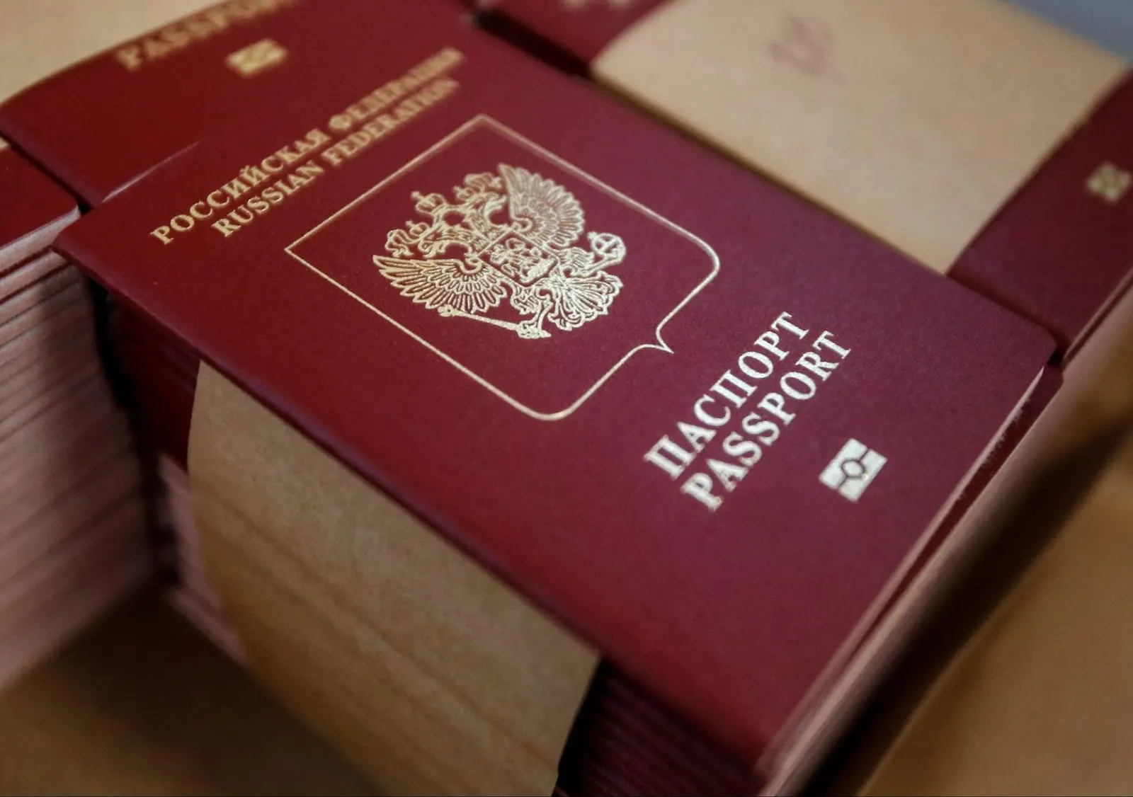من بينها السعودية.. روسيا تعمل على إلغاء التأشيرات مع 11 دولة