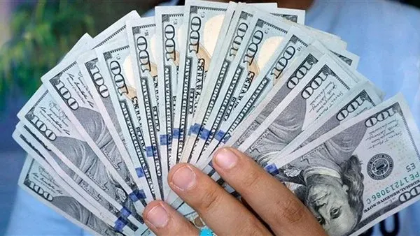 ماذا يعني قرار العقوبة المباشرة على مخالفات القوائم المالية؟