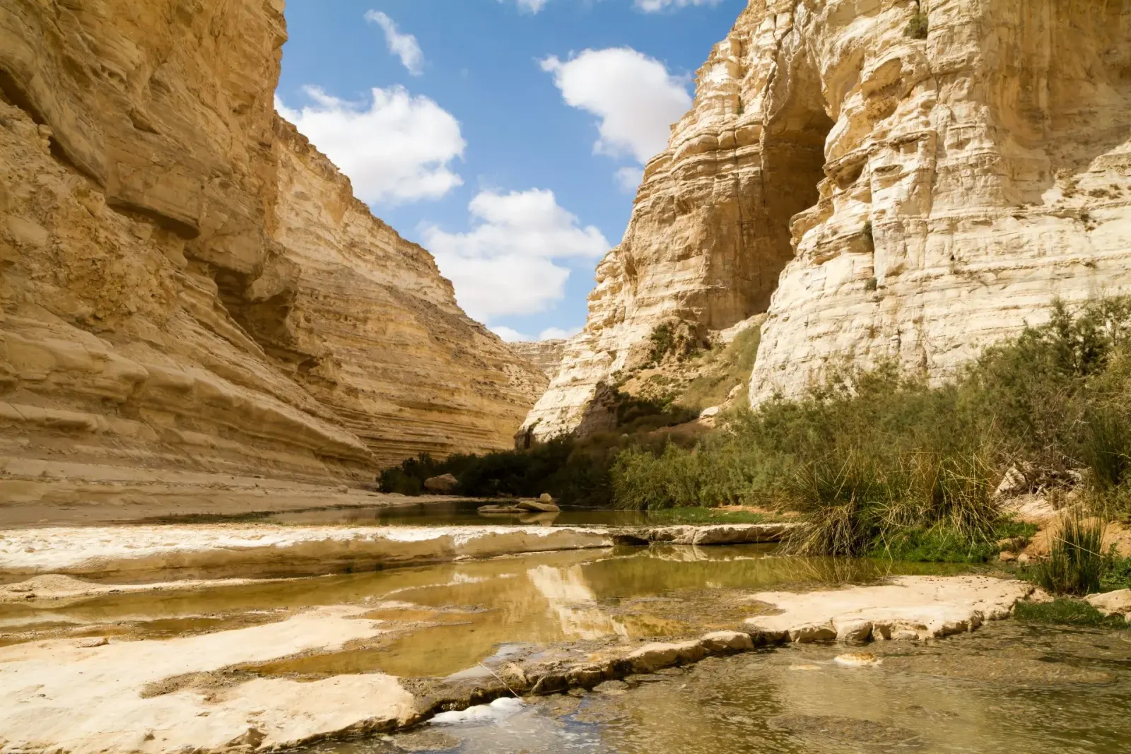 سخر بها السيسي من مقترح التهجير.. معلومات عن صحراء النقب