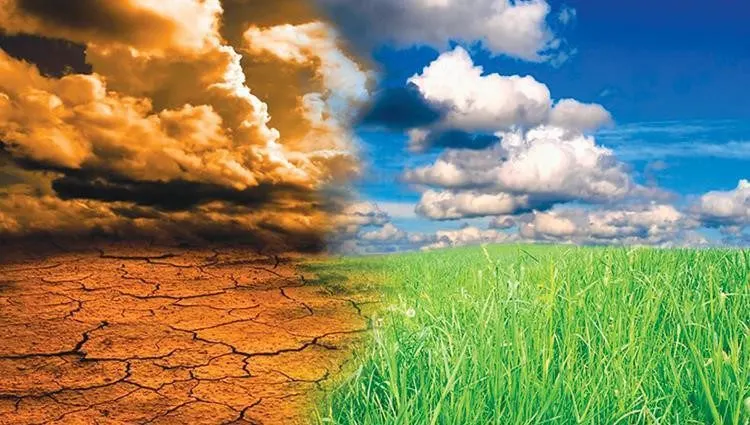 كيف أثر تغير المناخ على مناطق العالم؟