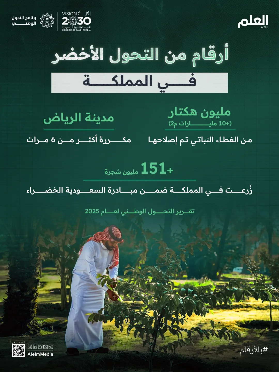 إنفوجرافيك|"السعودية الخضراء" توسّع الغطاء النباتي وتحقق قفزة في التشجير