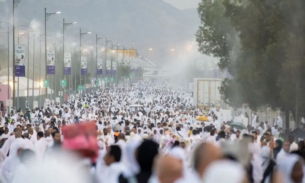 "النيم".. قصة "شجرة العجائب" التي تظلل الحجاج في عرفات
