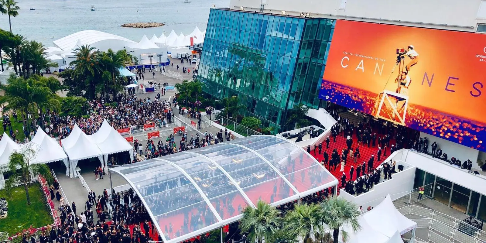 بدء العد التنازلي.. أهم الأحداث في مهرجان كان السينمائي 2024