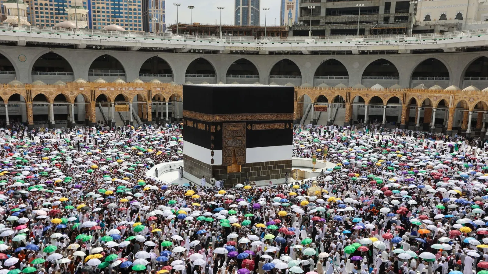 ما هو برنامج خدمة ضيوف الرحمن؟