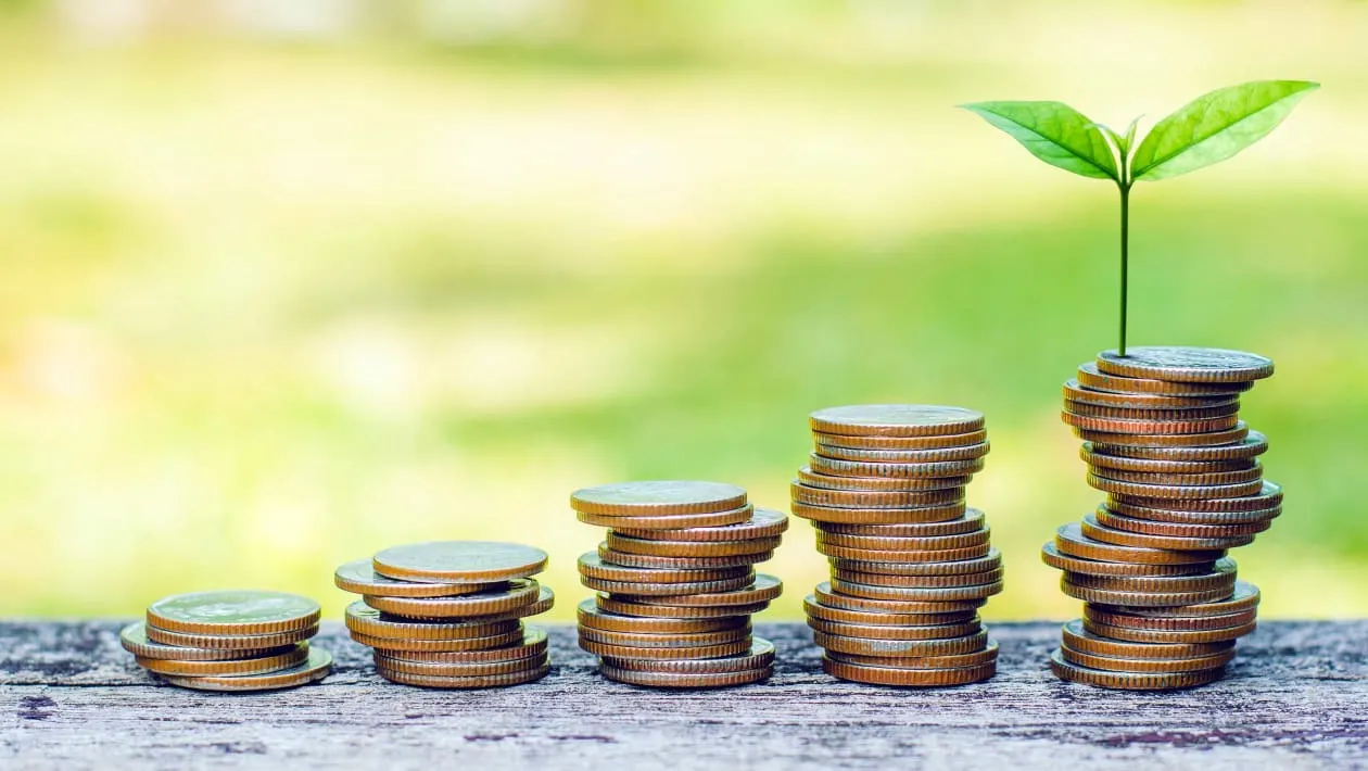 زيادة الخيارات الاستثمارية ستصيب المستثمرين بالشلل في اتخاذ القرارات