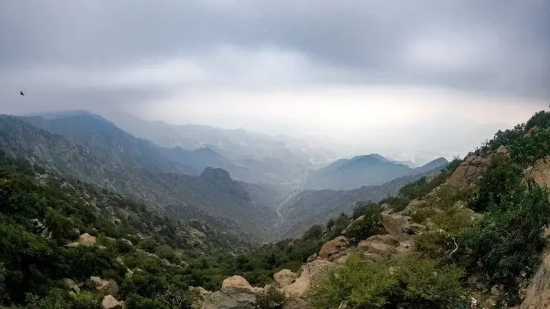 صور| مدينة الضباب في السعودية.. أجواء شتوية وسط أيام الصيف